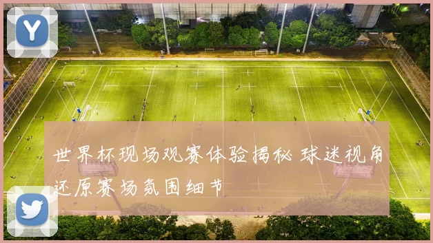 世界杯现场观赛体验揭秘 球迷视角还原赛场氛围细节