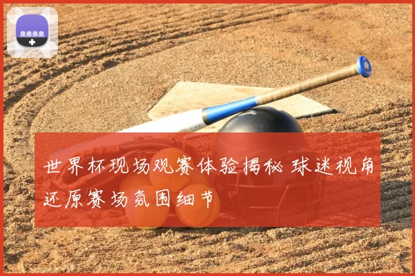 世界杯现场观赛体验揭秘 球迷视角还原赛场氛围细节