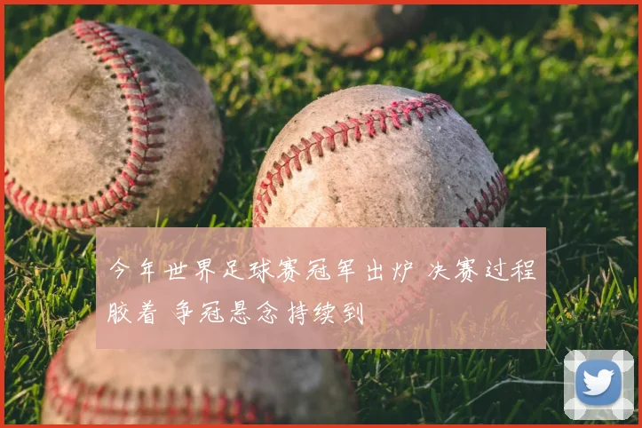今年世界足球赛冠军出炉 决赛过程胶着 争冠悬念持续到