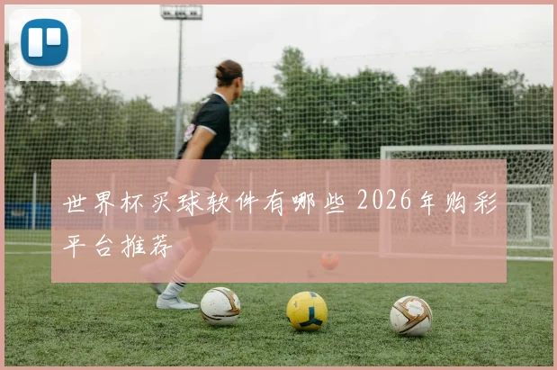 世界杯买球软件有哪些 2026年购彩平台推荐