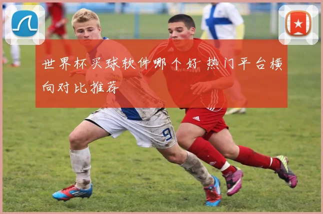 世界杯买球软件哪个好 热门平台横向对比推荐