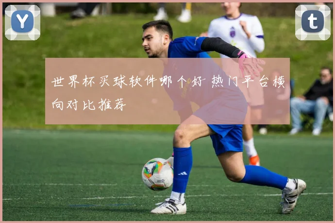 世界杯买球软件哪个好 热门平台横向对比推荐