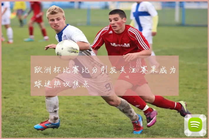 欧洲杯比赛比分引发关注 赛果成为球迷热议焦点