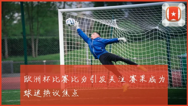 欧洲杯比赛比分引发关注 赛果成为球迷热议焦点